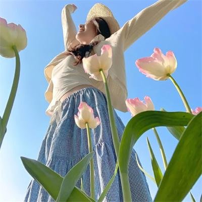 陆阿采与黄飞鸿